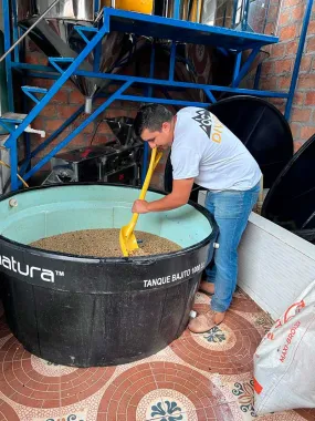 Colombia Finca Las Flores Sidra Bourbon     FILTER