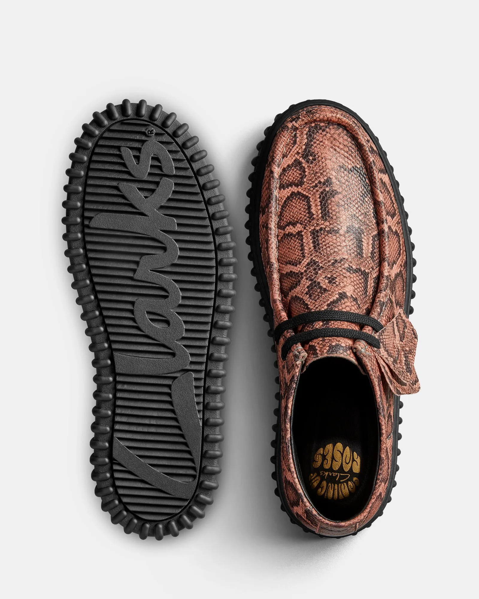 Cur Torhill Hi (M) Rose Snake
