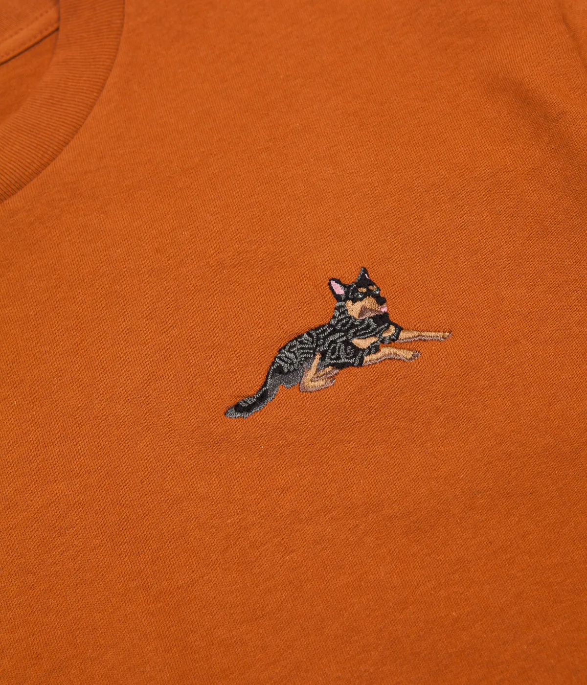 Pass Port Best Friend Embroidery T-Shirt - Texas Orange